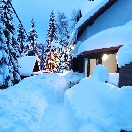 Uki & Sofi Mountain House Otel Kopaonik Dış mekan fotoğraf