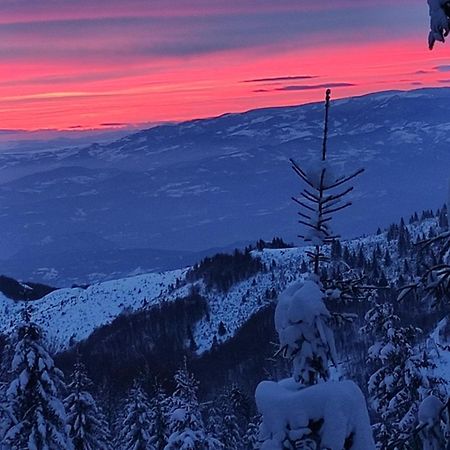 Uki & Sofi Mountain House Otel Kopaonik Dış mekan fotoğraf
