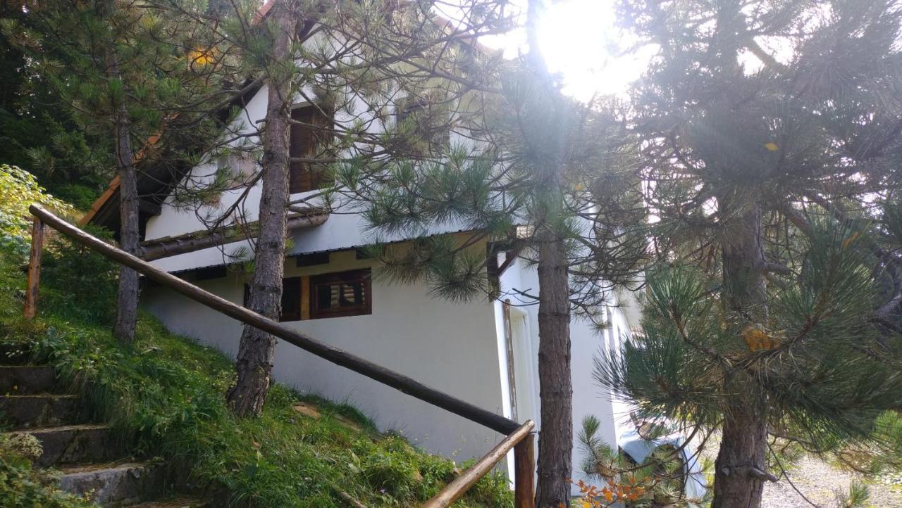 Uki & Sofi Mountain House Otel Kopaonik Dış mekan fotoğraf