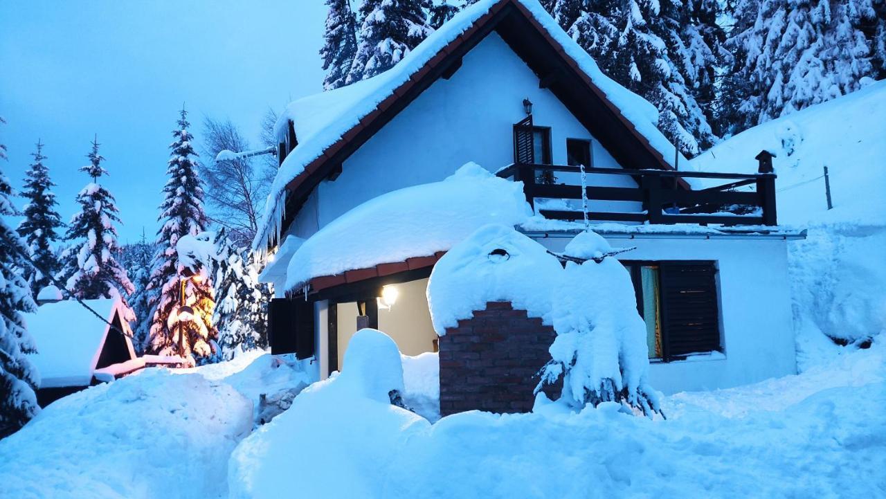 Uki & Sofi Mountain House Otel Kopaonik Dış mekan fotoğraf
