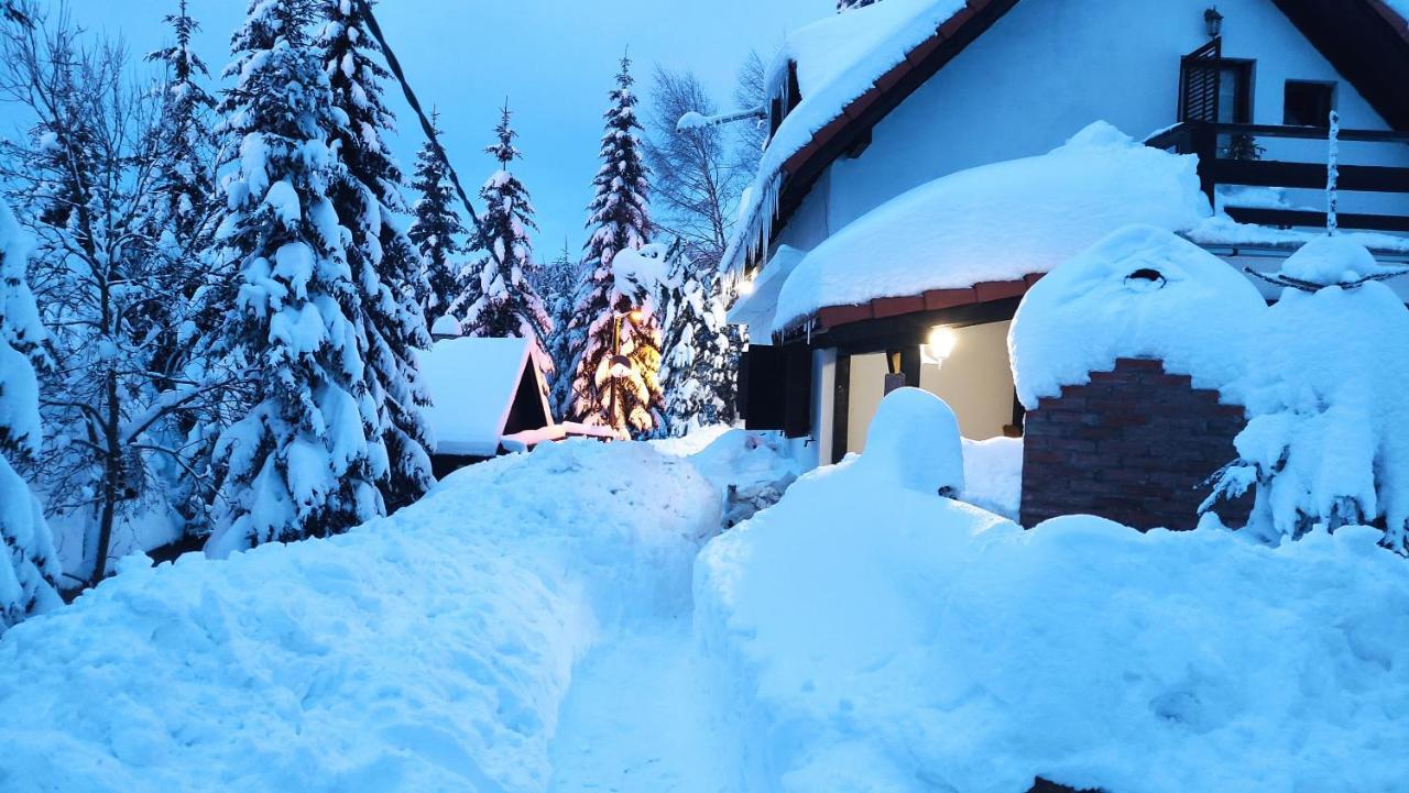 Uki & Sofi Mountain House Otel Kopaonik Dış mekan fotoğraf