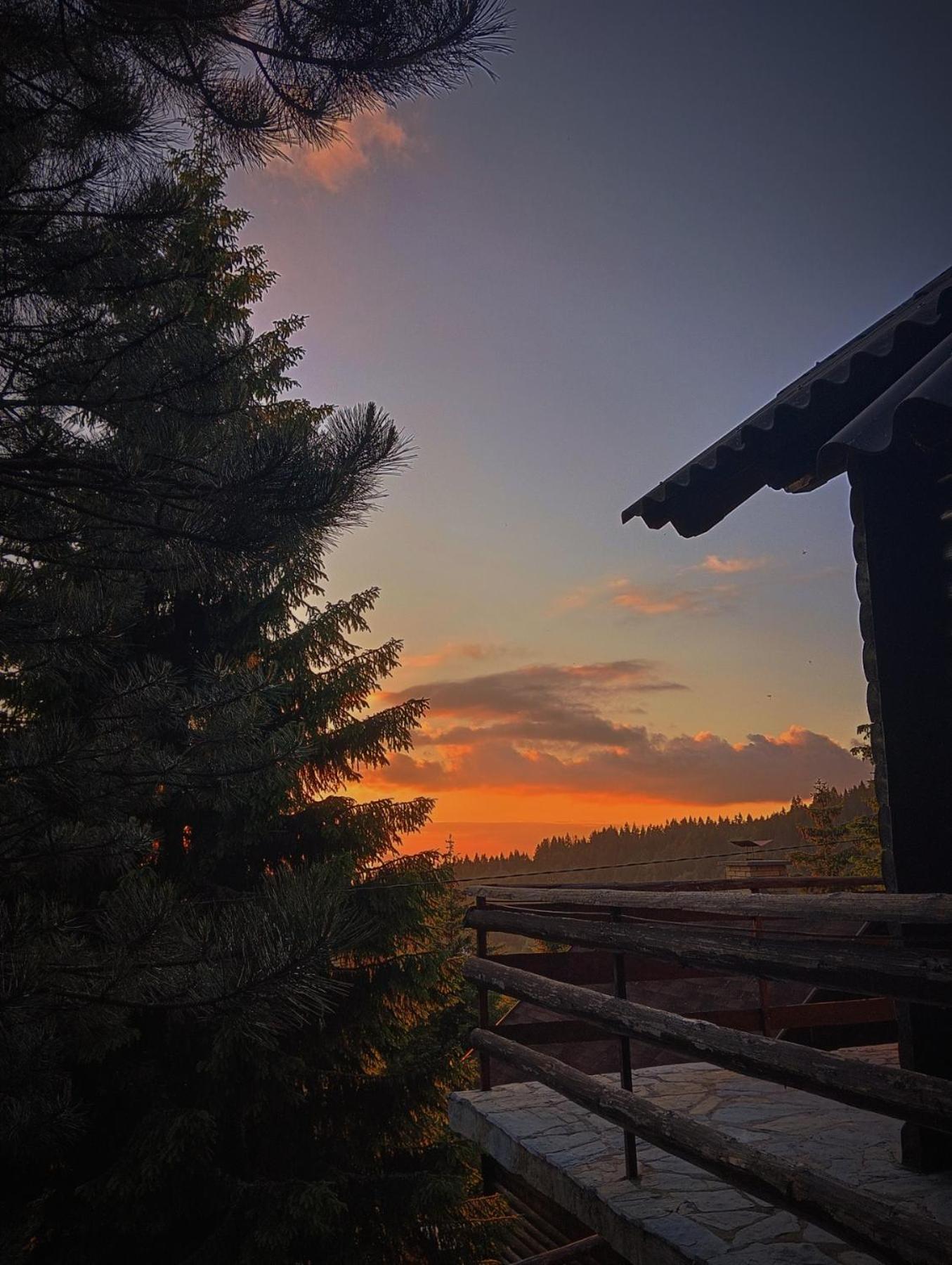 Uki & Sofi Mountain House Otel Kopaonik Dış mekan fotoğraf
