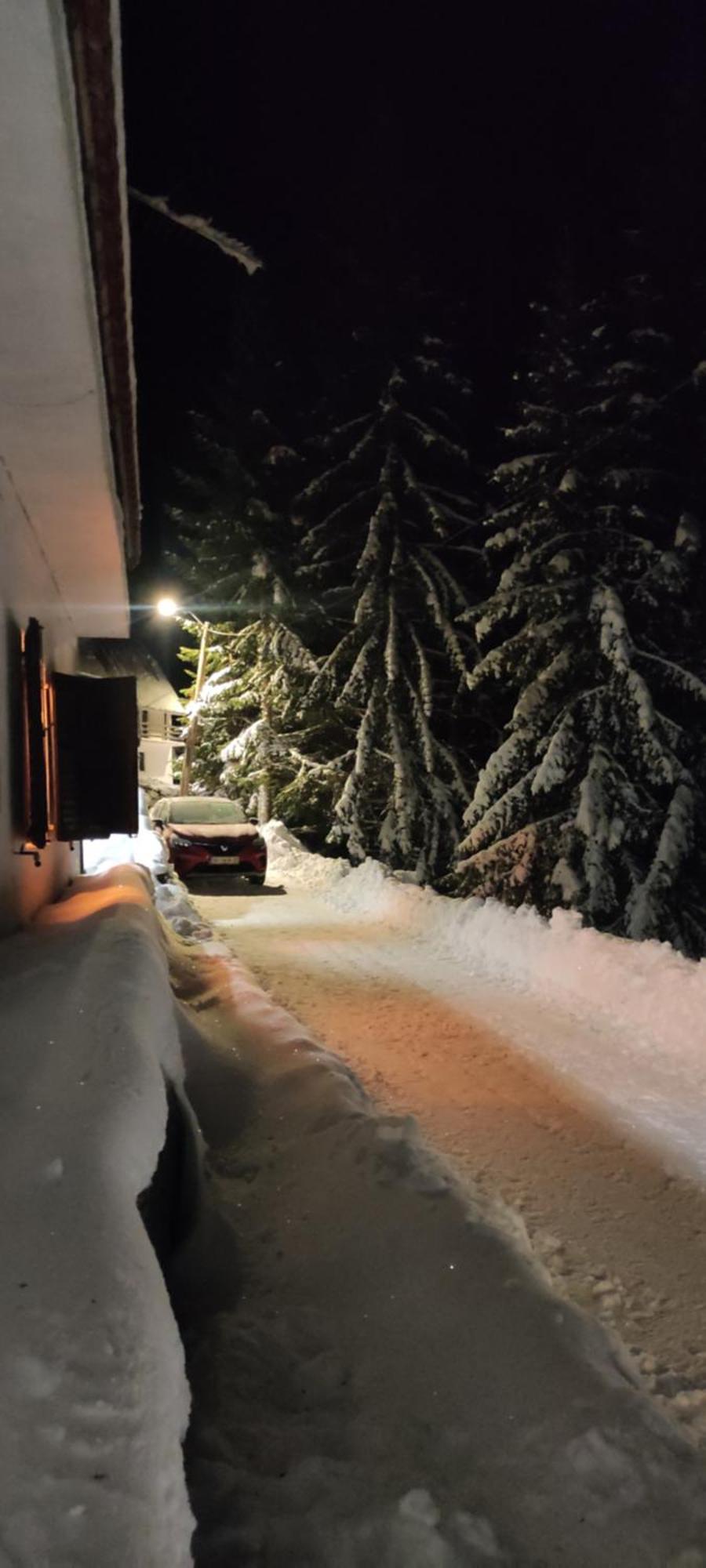 Uki & Sofi Mountain House Otel Kopaonik Dış mekan fotoğraf