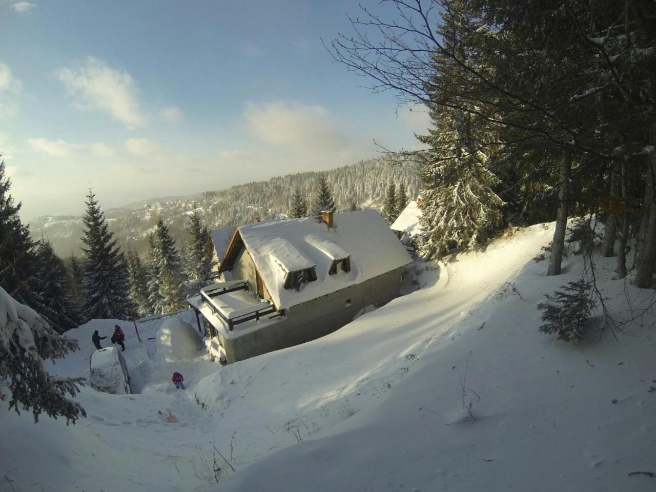 Uki & Sofi Mountain House Otel Kopaonik Dış mekan fotoğraf