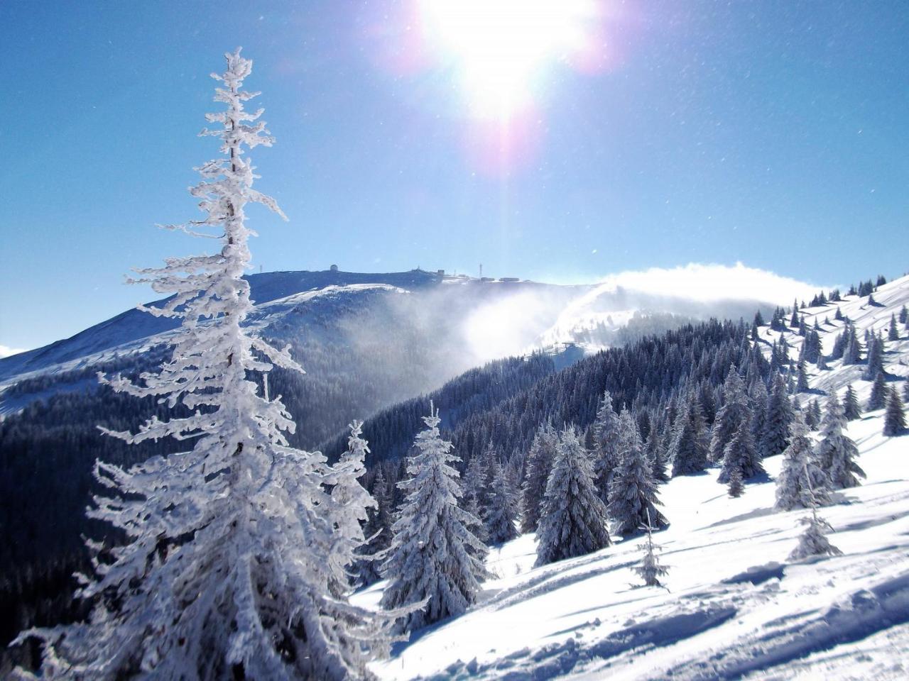 Uki & Sofi Mountain House Otel Kopaonik Dış mekan fotoğraf