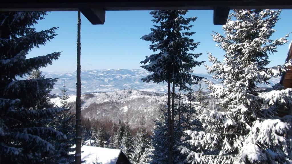 Uki & Sofi Mountain House Otel Kopaonik Dış mekan fotoğraf